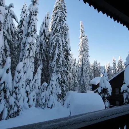 Trzinka - Triglav National Park Goreljek