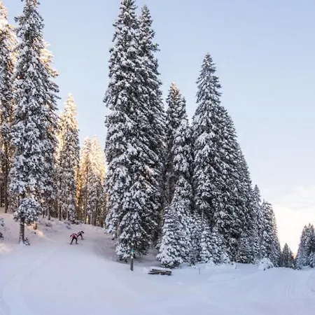 Trzinka - Triglav National Park * Goreljek