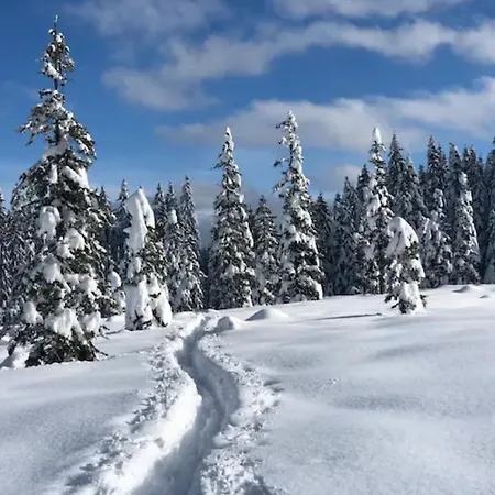 Trzinka - Triglav National Park Chalet Goreljek