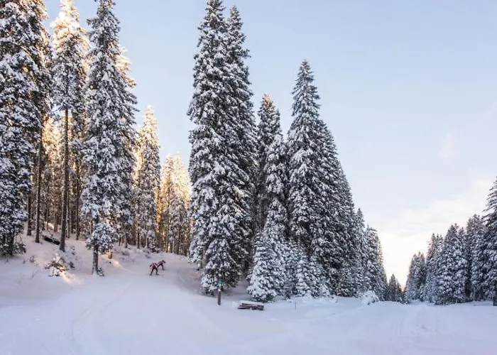 Trzinka - Triglav National Park * Goreljek