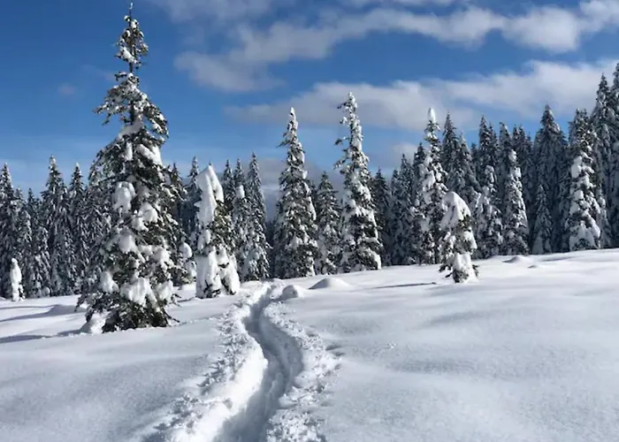 Trzinka - Triglav National Park 木屋 Goreljek